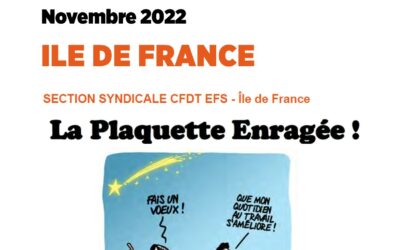 La Plaquette Enragée IDF novembre 2022