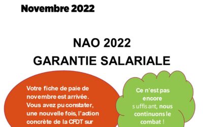 NAO – garantie salariale