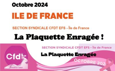 La Plaquette Enragée IDF octobre 2024